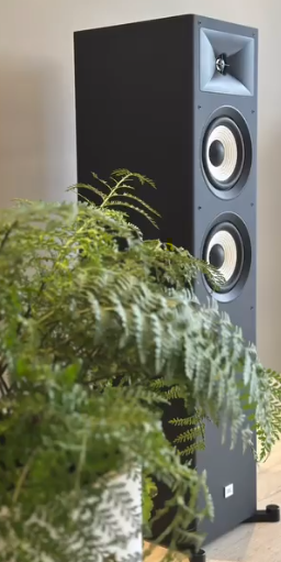 Caixa acústica floorstanding ao lado de plantas
